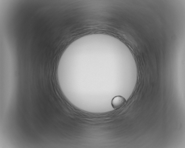 X0000112530129200908171153