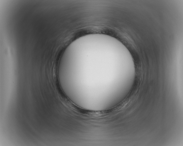 X0000112530131200908171153