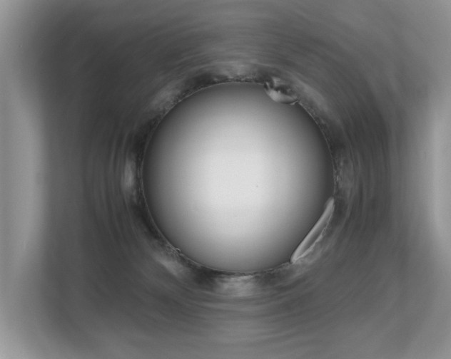 X0000112530132200908171153