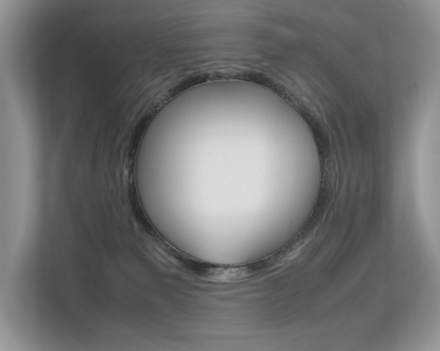 X0000112530135200908171152
