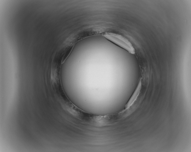 X0000112530136200908171152