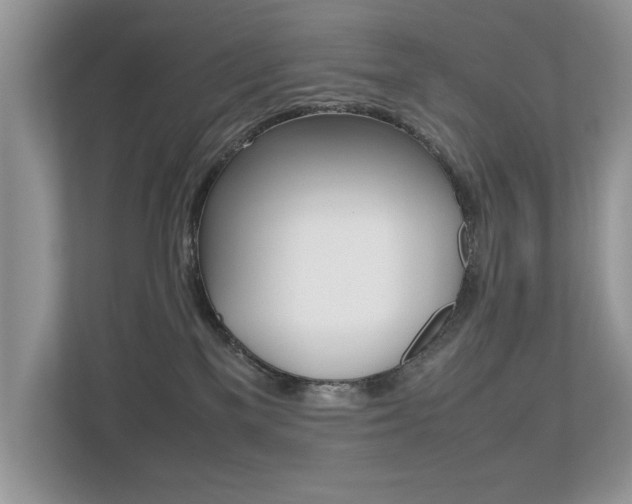 X0000112530137200908171152