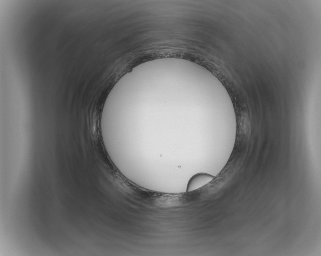 X0000112530138200908171152