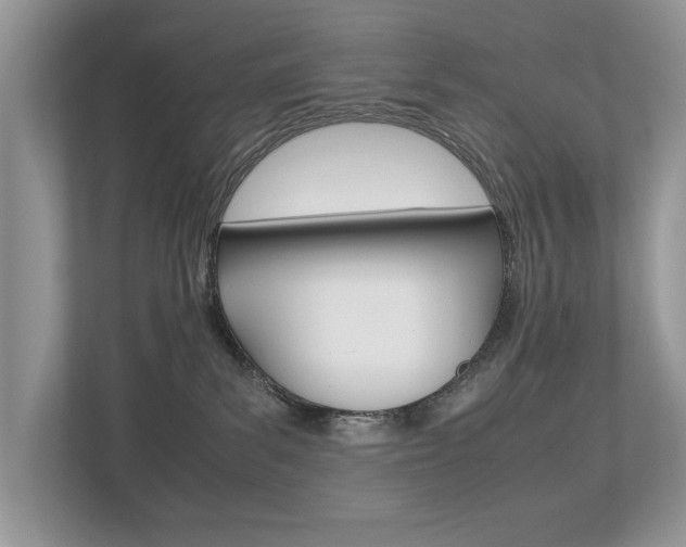 X0000112530139200908171152