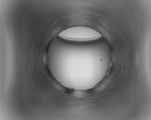 X0000112530141200908171152