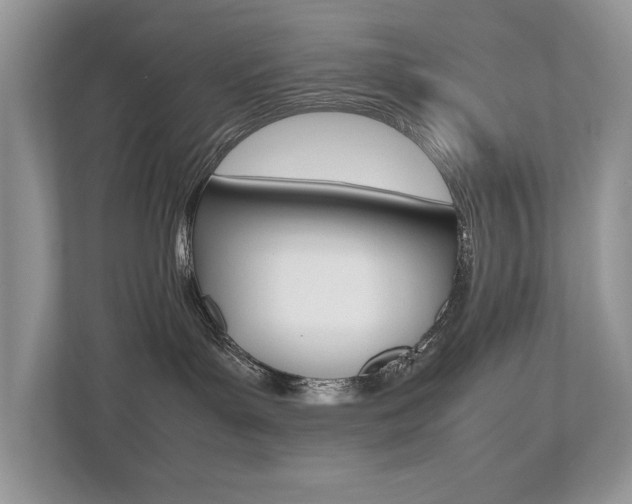 X0000112530143200908171152
