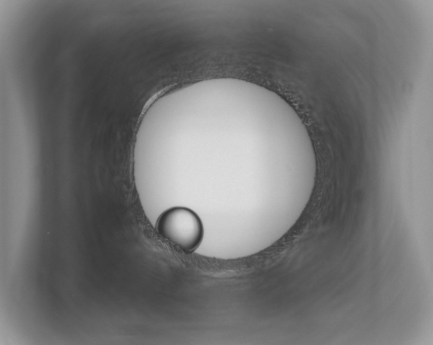 X0000112530144200908171152
