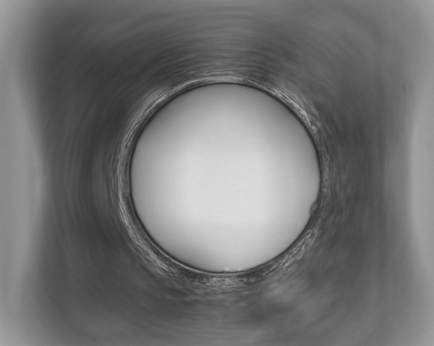 X0000112530145200908171152