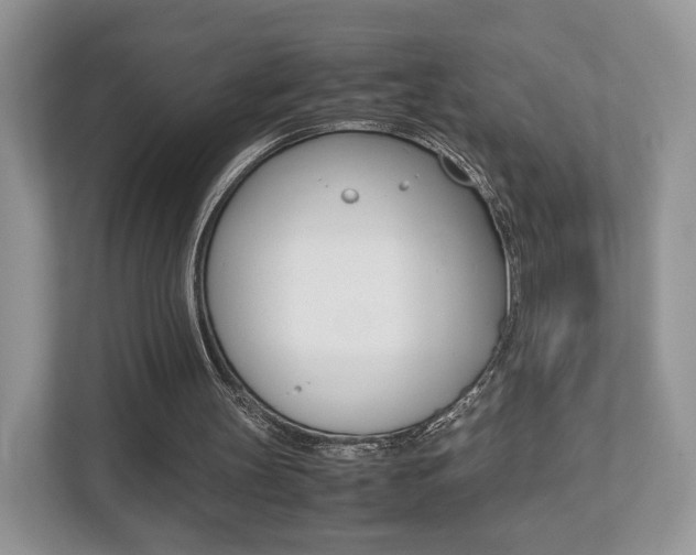 X0000112530147200908171152