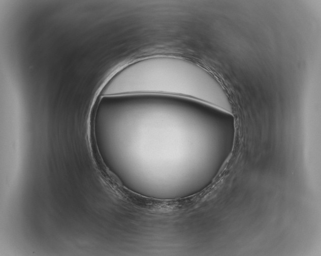 X0000112530148200908171152