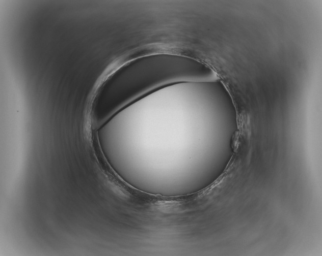 X0000112530150200908171152