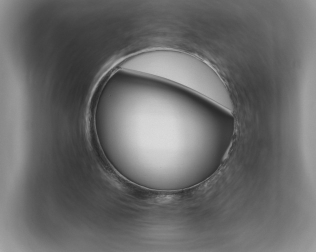 X0000112530152200908171152