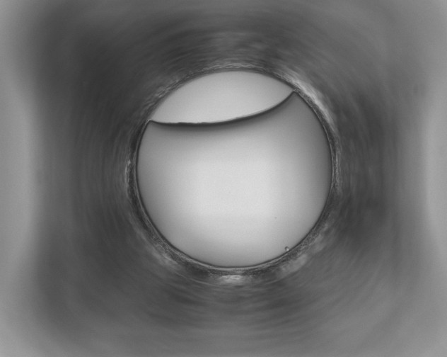 X0000112530153200908171152