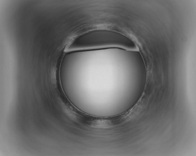 X0000112530154200908171152