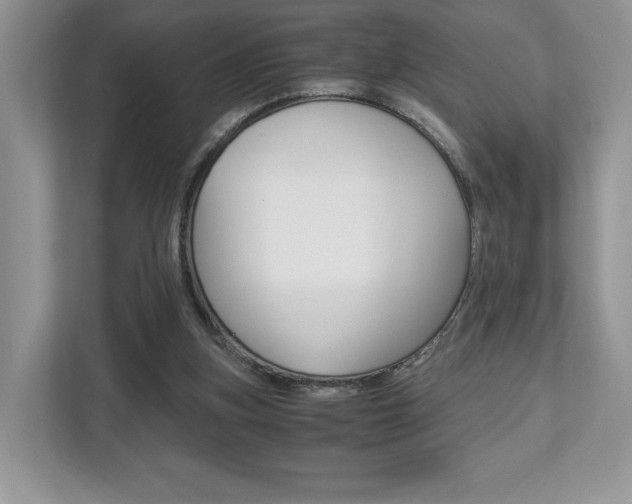 X0000112530155200908171152
