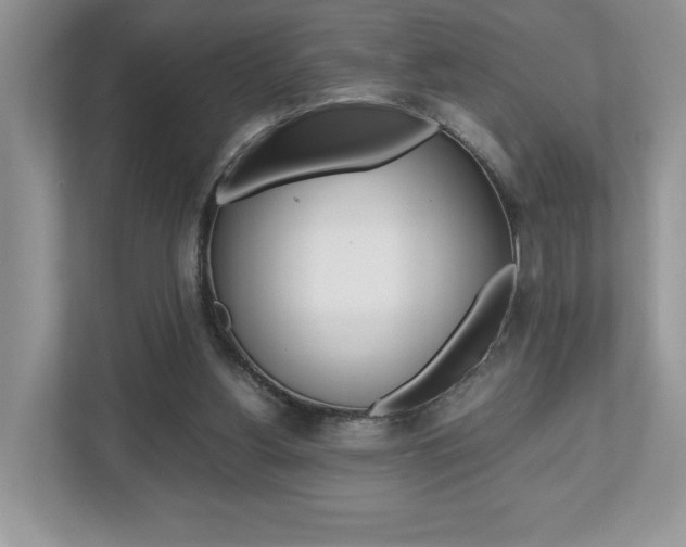 X0000112530156200908171152