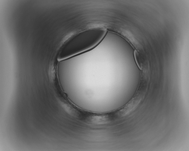 X0000112530160200908171152
