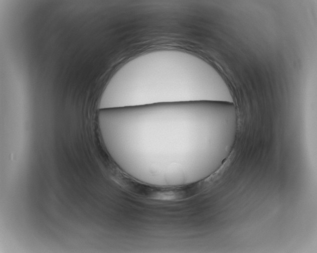 X0000112530171200908171152
