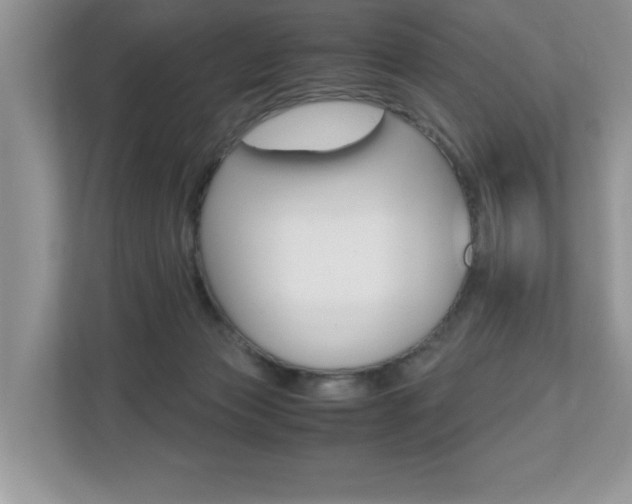 X0000112530173200908171152