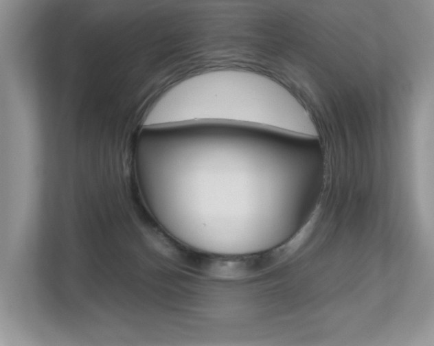 X0000112530174200908171152