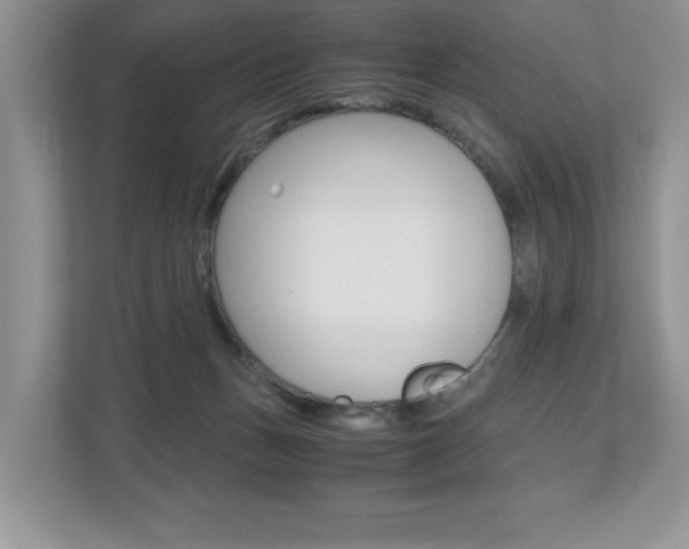 X0000112530175200908171152