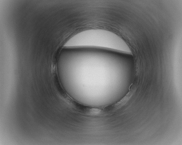 X0000112530176200908171152