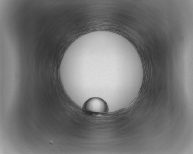 X0000112530180200908171152