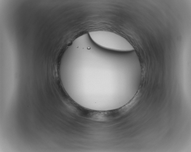 X0000112530182200908171152