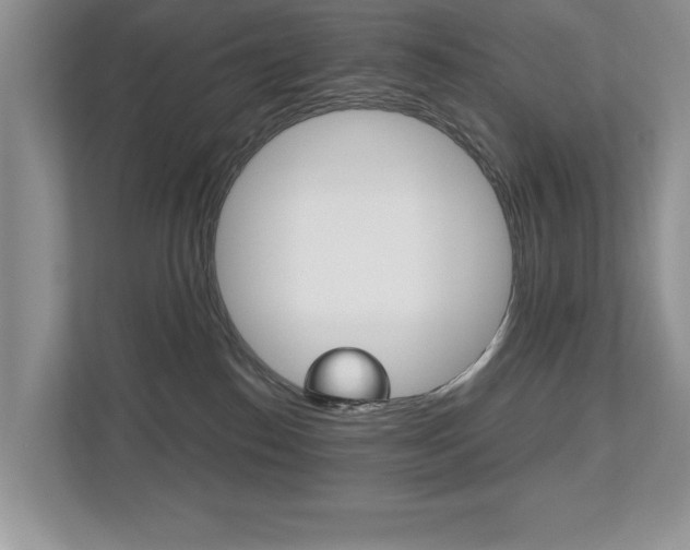 X0000112530186200908171152
