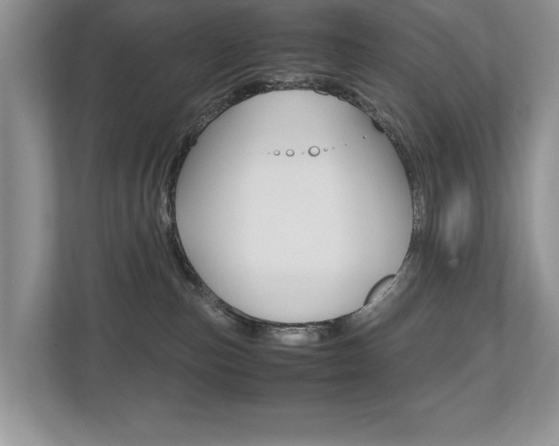 X0000112530187200908171152