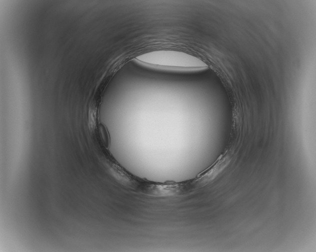 X0000112530188200908171152