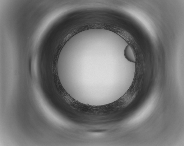 X0000112530189200908171152