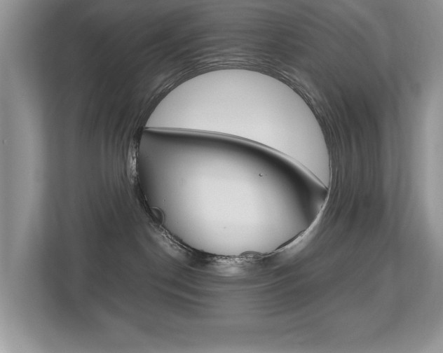 X0000112530190200908171152