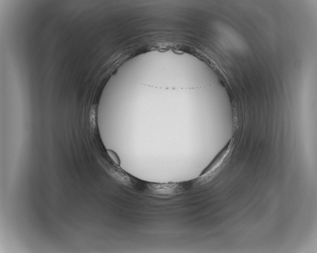 X0000112530191200908171152