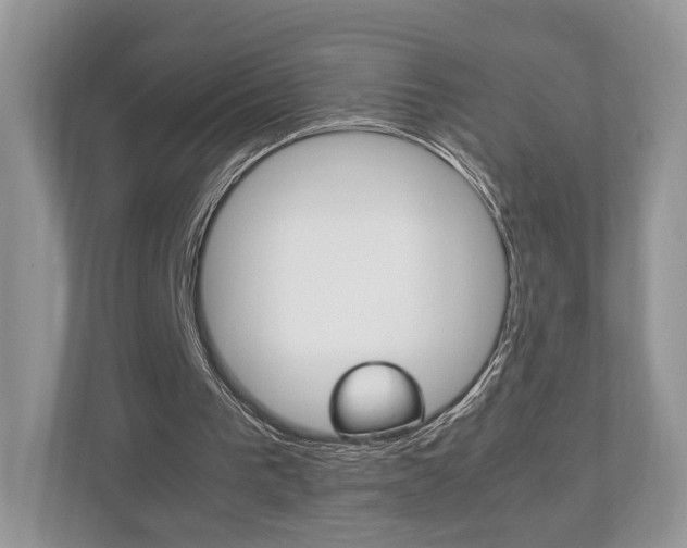 X0000112530193200908171152
