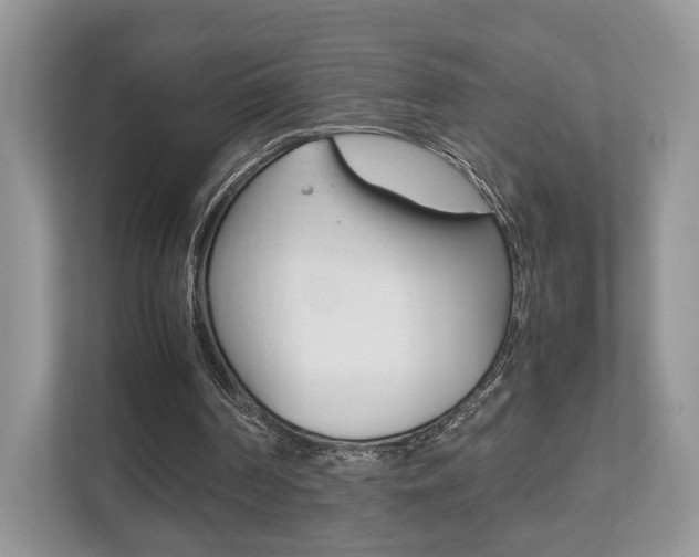 X0000112530194200908171152