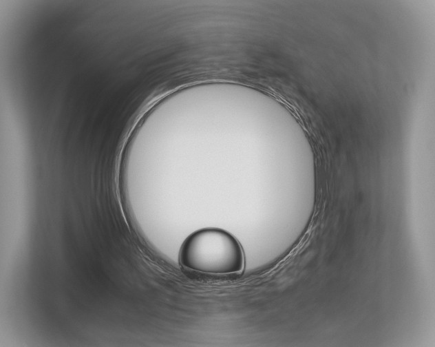 X0000112530195200908171152
