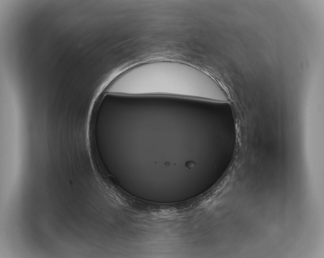 X0000112530196200908171152