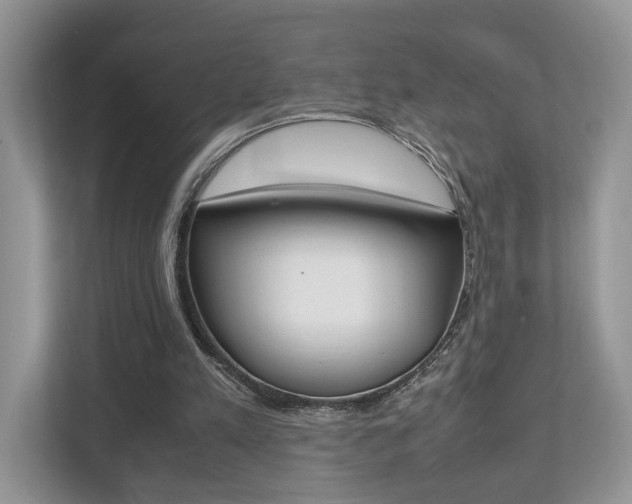 X0000112530197200908171152
