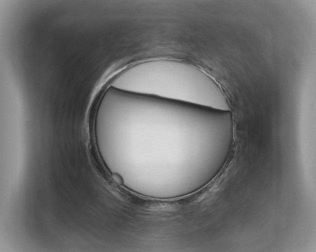 X0000112530198200908171152