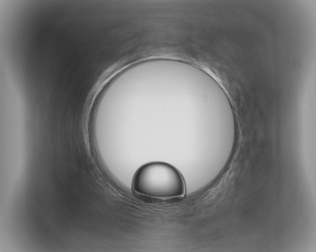 X0000112530199200908171152