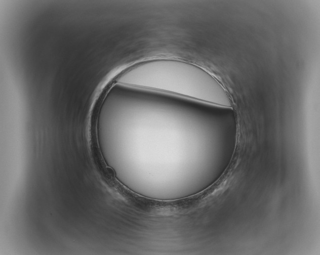 X0000112530200200908171152