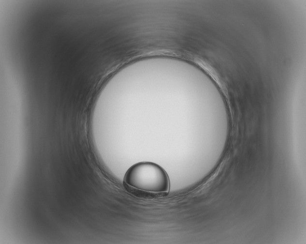 X0000112530201200908171152