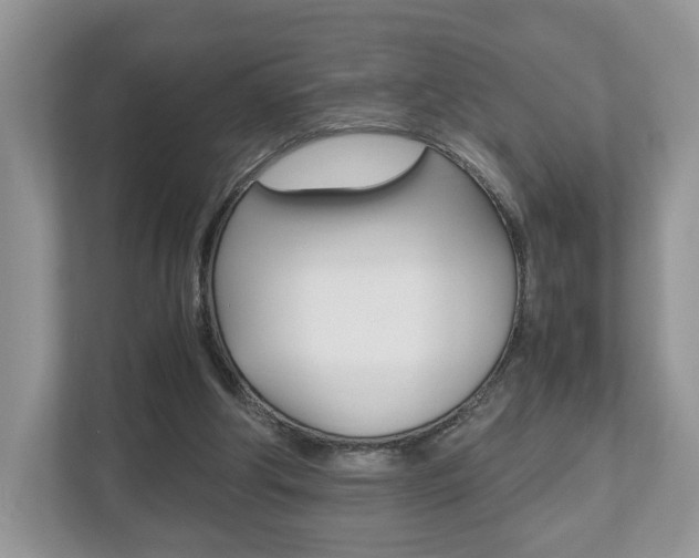 X0000112530202200908171152