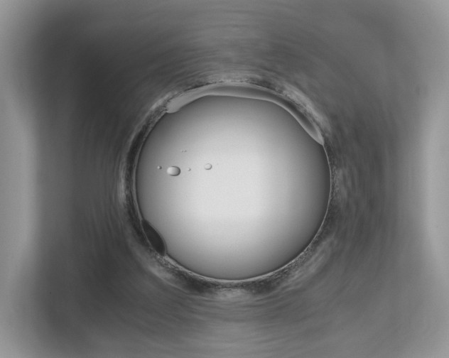 X0000112530203200908171152
