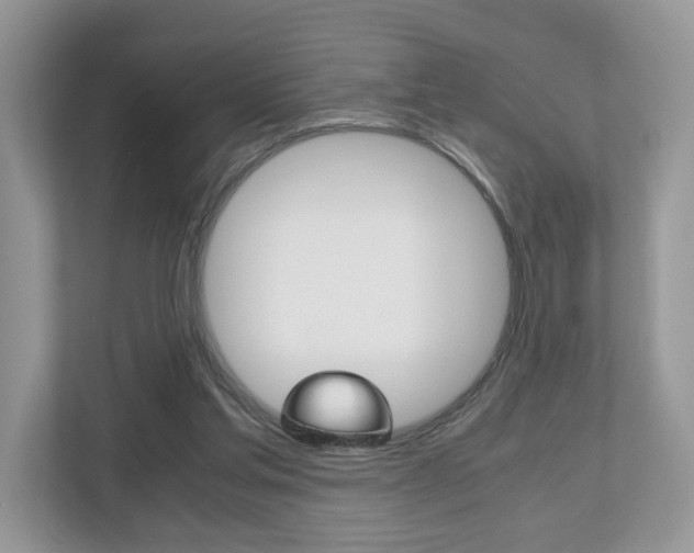 X0000112530205200908171152