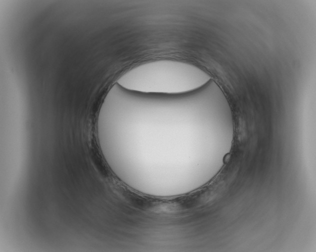 X0000112530210200908171151