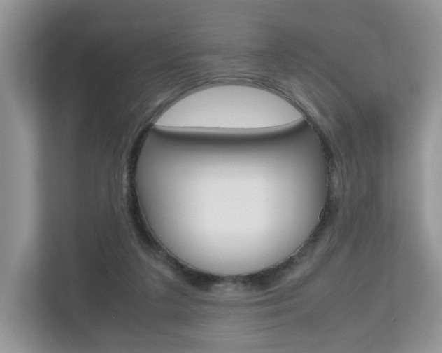 X0000112530211200908171151