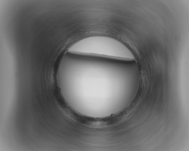 X0000112530212200908171151