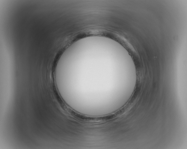 X0000112530213200908171151